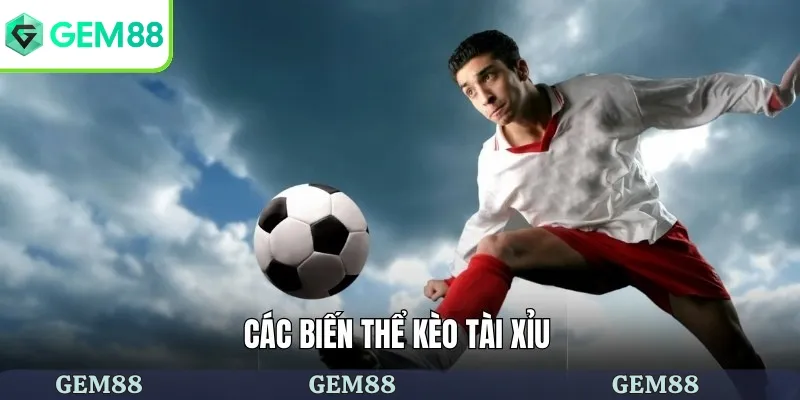 Kèo Tài Xỉu Là Gì - Mẹo Cá Cược Kèo Bao Thắng Cho Tân Binh 2 Những hình thức của kèo tài xỉu