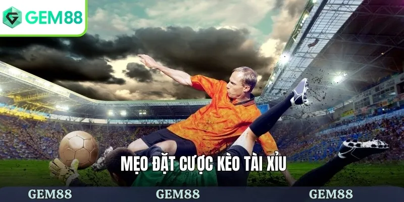 Kèo Tài Xỉu Là Gì - Mẹo Cá Cược Kèo Bao Thắng Cho Tân Binh 3 Kinh nghiệm chơi kèo rinh thưởng lớn