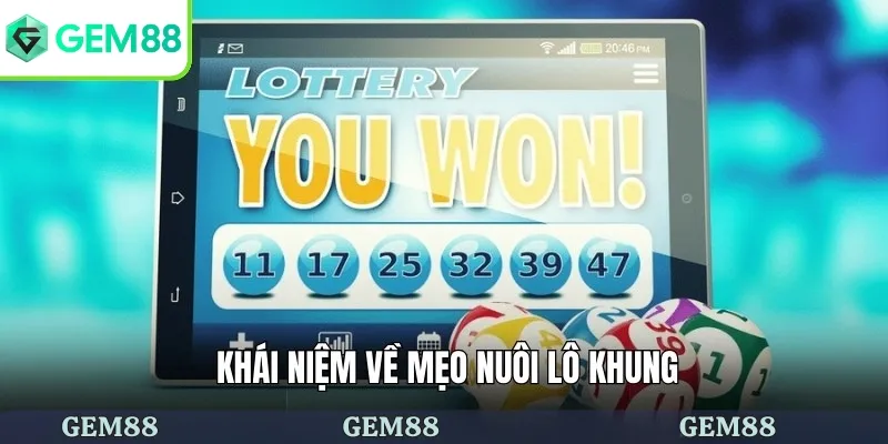Mẹo Nuôi Lô Khung - Bí Quyết Chạm Đến Chiến Thắng Đỉnh Cao 1 Khái niệm về mẹo nuôi lô khung