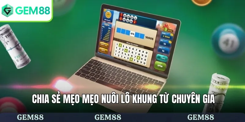 Mẹo Nuôi Lô Khung - Bí Quyết Chạm Đến Chiến Thắng Đỉnh Cao 3 Chia sẻ mẹo mẹo nuôi lô khung từ chuyên gia