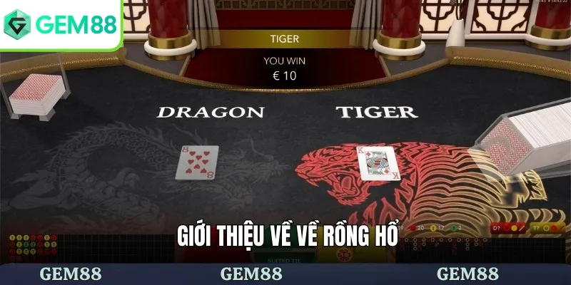 Giới thiệu về về rồng hổ