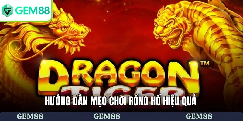 Hướng dẫn mẹo chơi rồng hổ hiệu quả